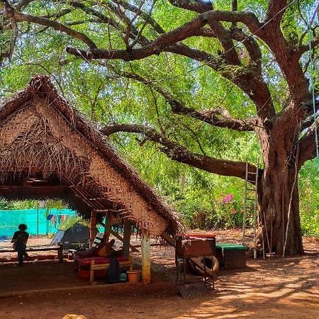 Hostel Travellers Tribe By Livelehood Habitat Auroville Exterior foto
