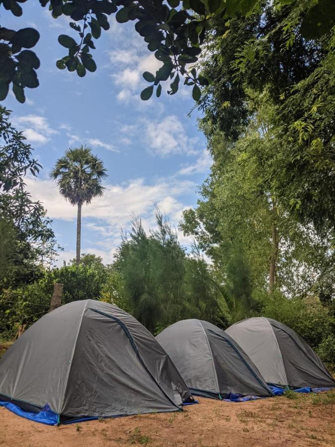 Hostel Travellers Tribe By Livelehood Habitat Auroville Exterior foto