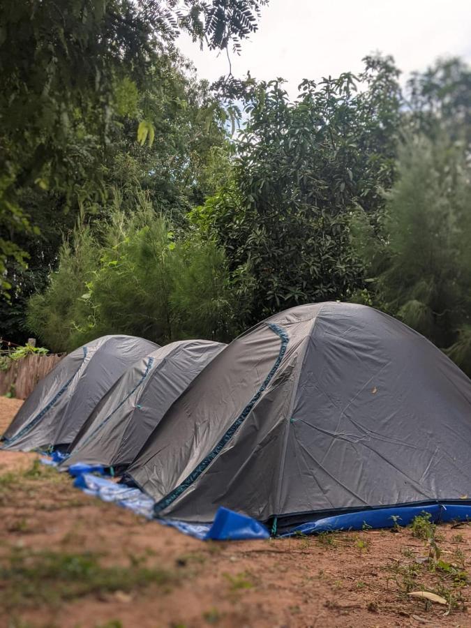 Hostel Travellers Tribe By Livelehood Habitat Auroville Exterior foto