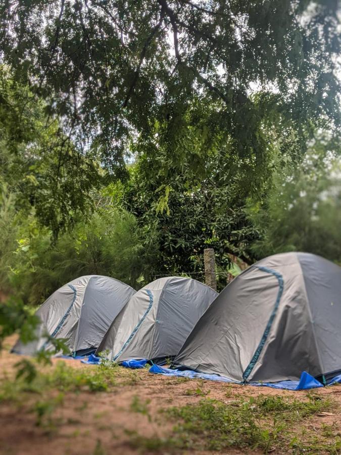 Hostel Travellers Tribe By Livelehood Habitat Auroville Exterior foto
