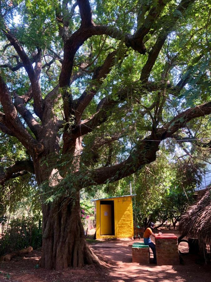 Hostel Travellers Tribe By Livelehood Habitat Auroville Exterior foto