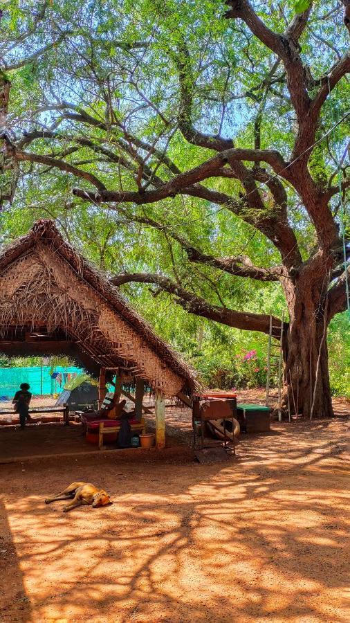 Hostel Travellers Tribe By Livelehood Habitat Auroville Exterior foto